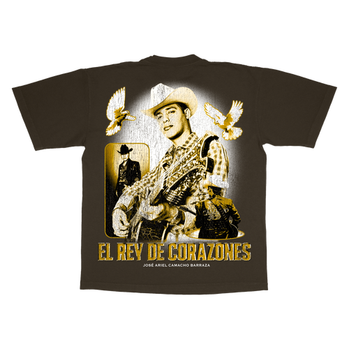 ARIEL  - T-SHIRT BROWN